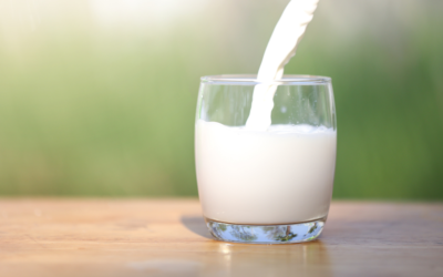 Colostrum: Nature’s Health Elixir and Why You Should Embrace It